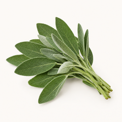 Sage leaves